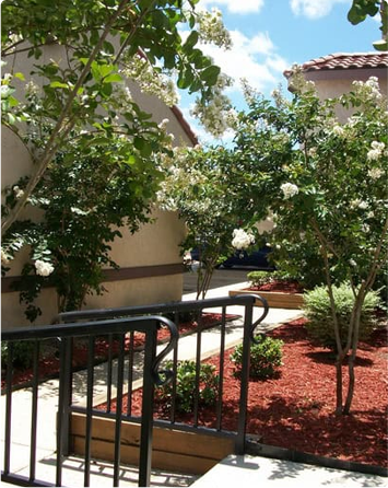 Opulent Garden Landscaping in Apartment